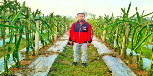 চাকরি না করে কৃষিতে সফল লালমনিরহাটের পঙ্কজ